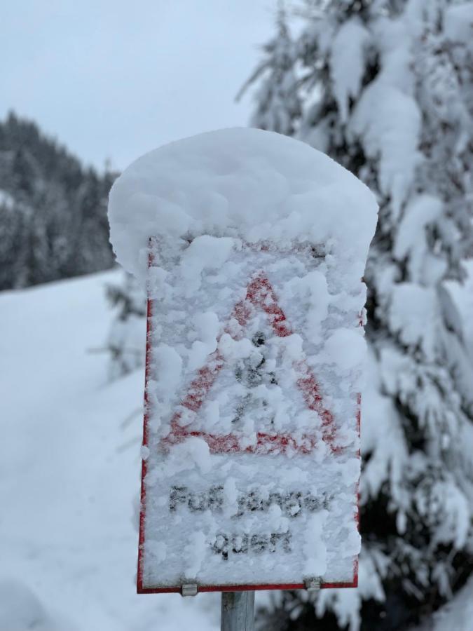 Haizelrock Kirchberg in Tirol Dış mekan fotoğraf
