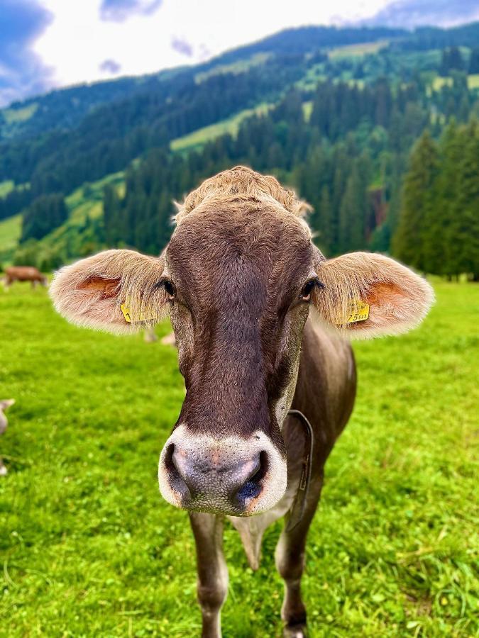 Haizelrock Kirchberg in Tirol Dış mekan fotoğraf